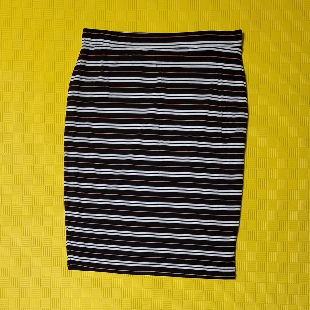 NWOT Lined Tube Skirt